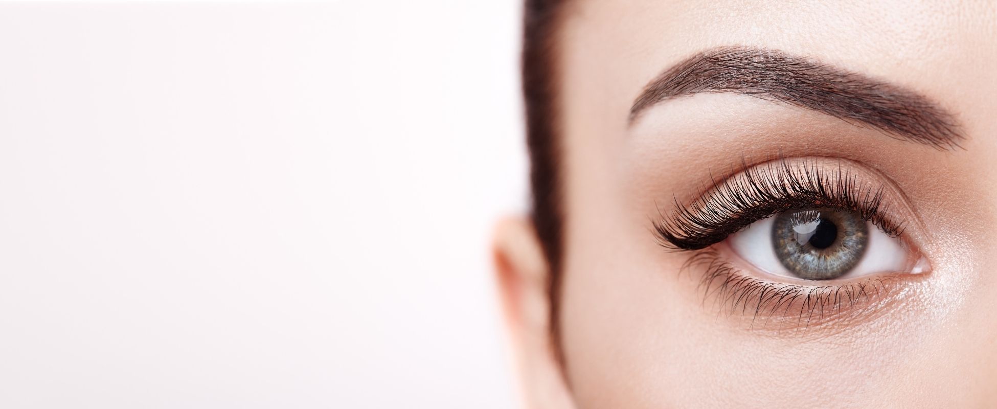 Lashes & Brows Lashes & brows