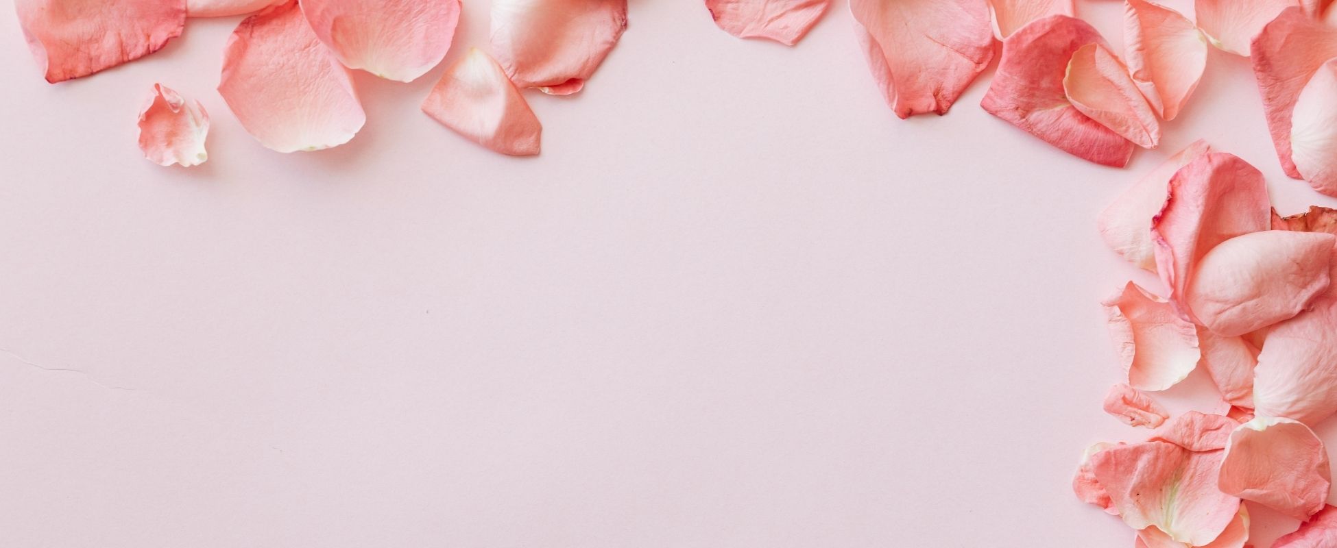 Mother's Day Bundle Lashes & brows