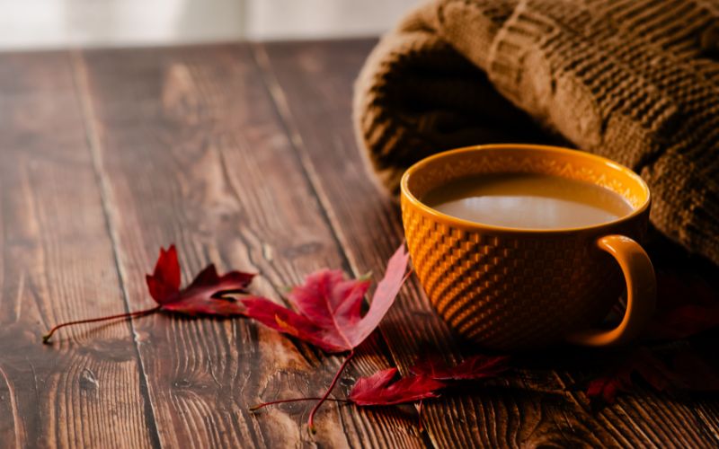 Farmhouse Fresh Seasonal Fall Treatments