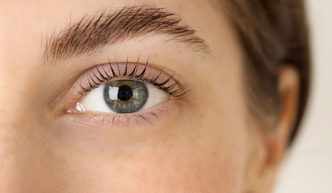 Discover the Korean Lash Lift: A Keratin Treatment That Lifts and Nourishes Your Lashes